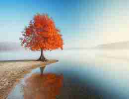 语‍音​识‌别‍程‌序‌流﻿程​图﻿